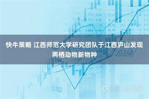 快牛策略 江西师范大学研究团队于江西庐山发现两栖动物新物种
