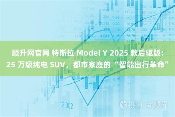 顺升网官网 特斯拉 Model Y 2025 款后驱版：25 万级纯电 SUV，都市家庭的 “智能出行革命”